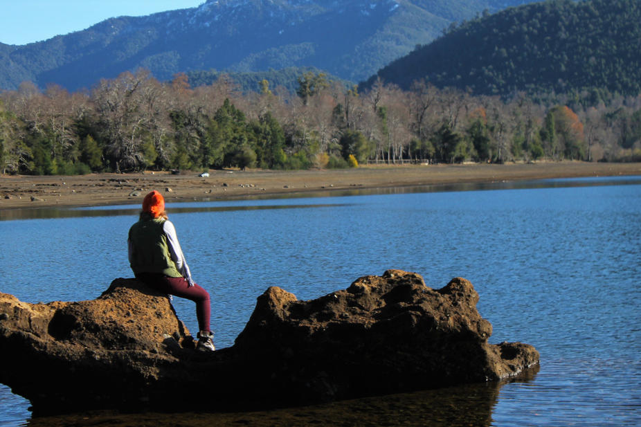 a83eb4_6c5bd6c5b7e947c4b063dee769a063ea~