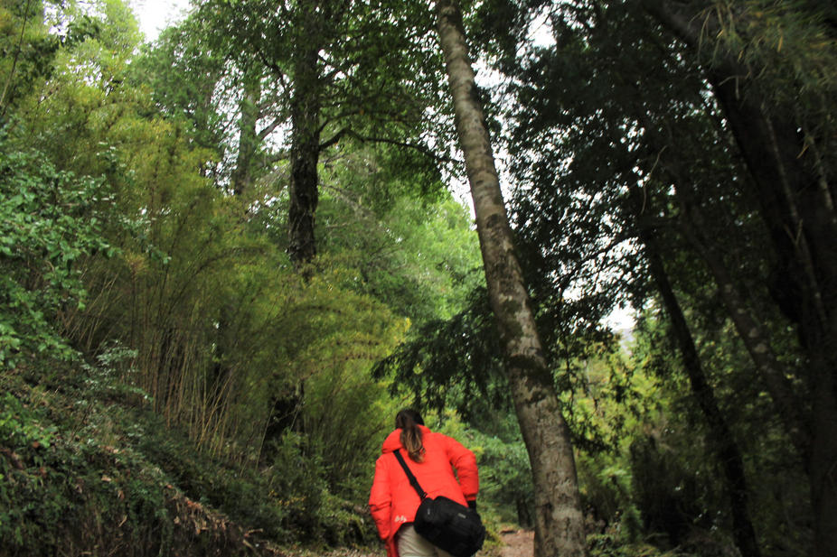 a83eb4_d7ef44232a584f5199cae3abaae34c05~