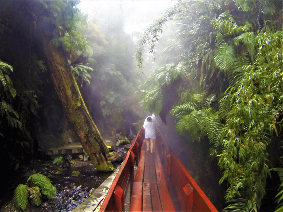 a83eb4_b21bf9a1c87f416792bc5c9df1ebd0b1~