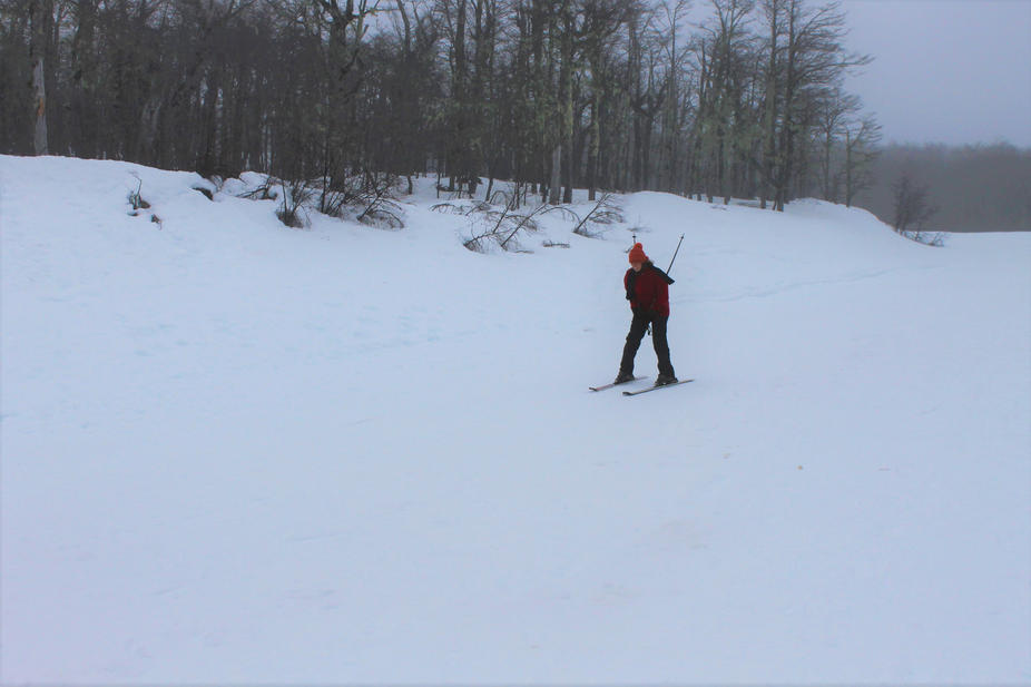 a83eb4_be2c1da0380c463994711c8dc9720810~