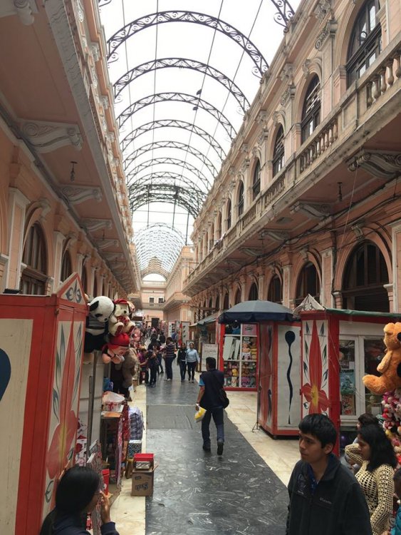 41907766_10216573772993342_6401706161220