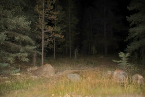 img_2154.jpg?w=294&h=196