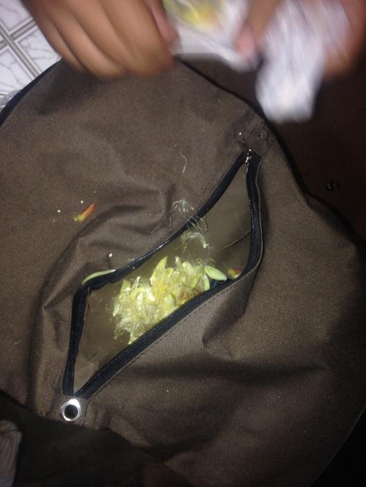 f0q6bRvhTUJP1Hsbw1tGc0XsuH_zWoA75cLqSrmTPezlWxvq4vE8Rf3DEN1J_5GorfOvZalYWUnvebfMDifi1DUtO5lLeIQXuegFu-yNOTdFMKp2zFPQUxIV5lwG3KJy4ahjccBk3XarganymA