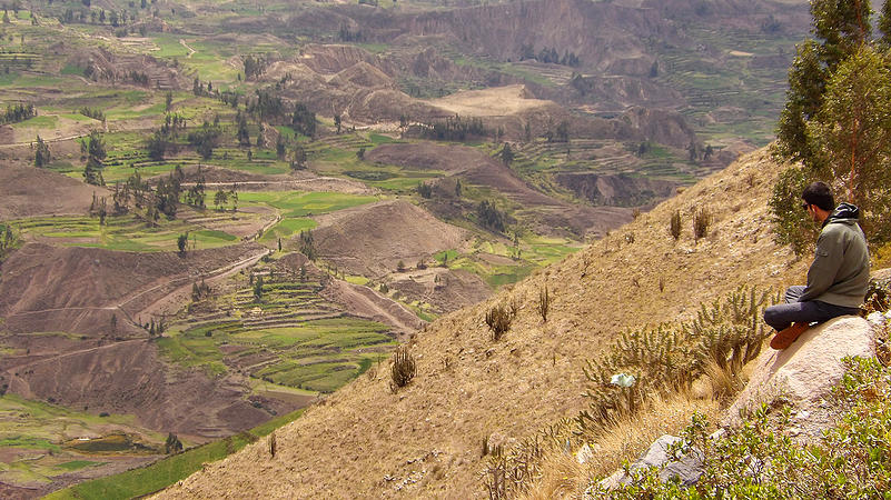 c2fc93_61e054c7f1624411aefb2993daa47f1d.jpg_srb_p_801_451_75_22_0.50_1.20_0.00_jpg_srb