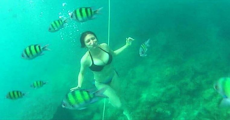 27_online?async&rand=0.946023931800108