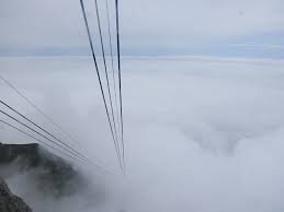 images?q=tbn:ANd9GcT1_TI6pnhnb73gROgvk5N