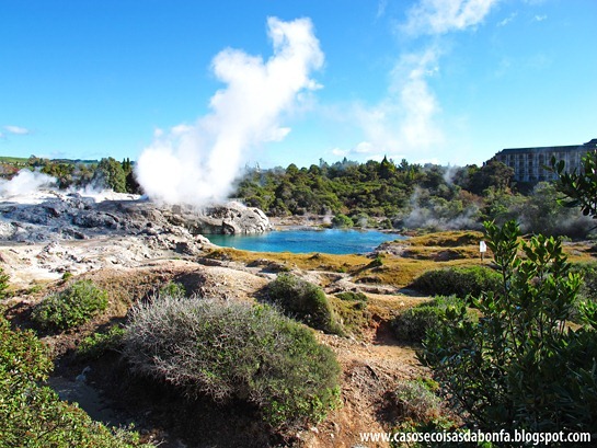 IMG_7691%25255B3%25255D.jpg?imgmax=800