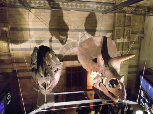 dscf1070-c%C3%B3pia.jpg?resize=500%2C375