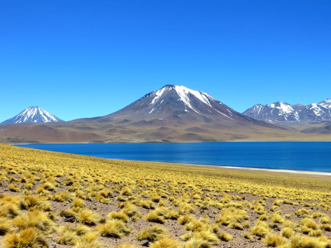 img_6096.jpg?w=651&h=488