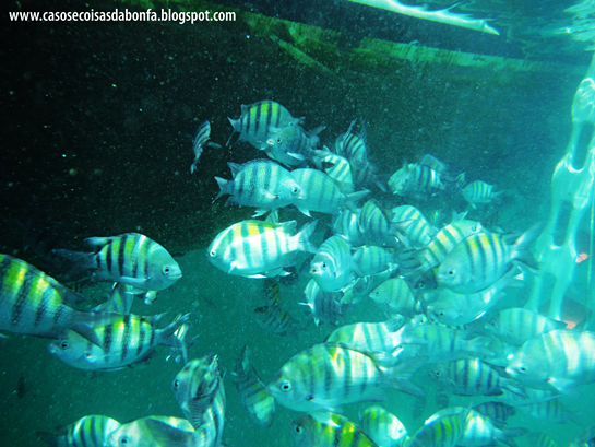 20150120-039%25255B5%25255D.png?imgmax=800