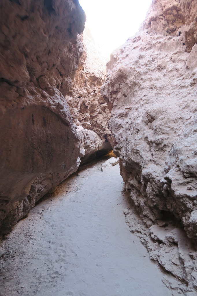 img_1462_zps1y8rh0ui