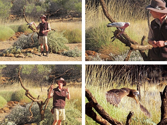 IMG_5028%25255B3%25255D.jpg?imgmax=800