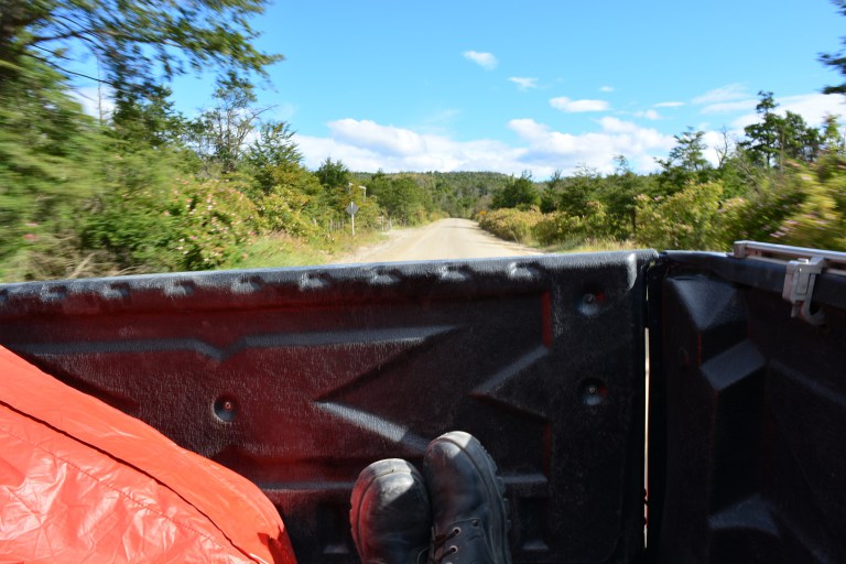 dsc_0614.jpg?resize=768%2C512