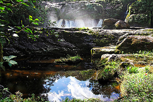 3958375417_42b8e96bee_z.jpg?zz=1