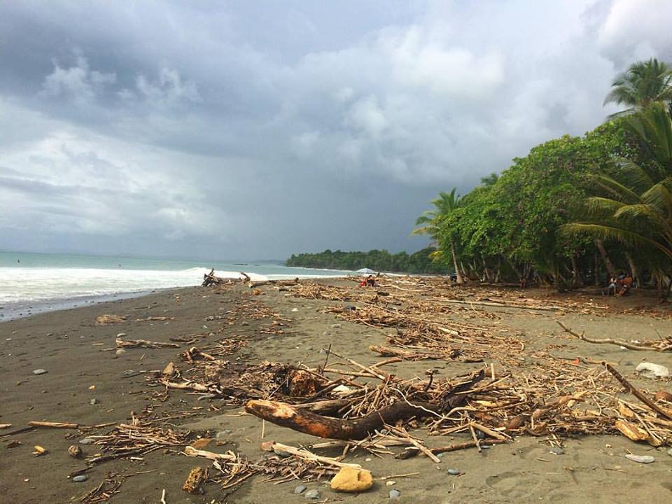 19989404_1397219867037768_2783523338226922348_n.jpg?oh=c8f58d2dcc63672180a984e25020f438&oe=5A043E0A