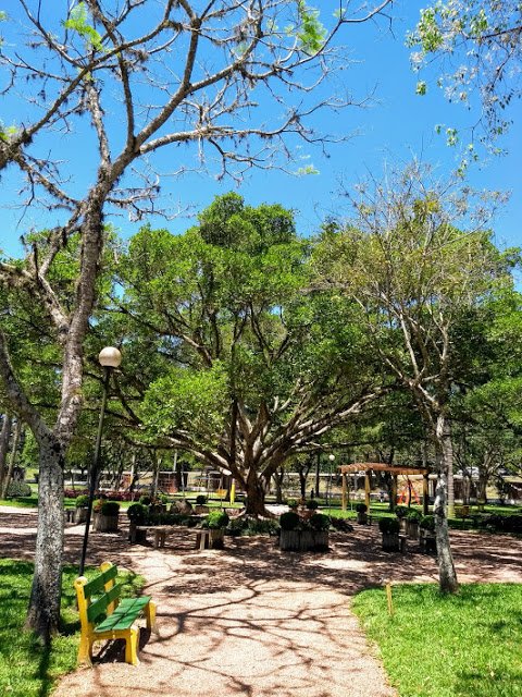 sao%2Bsebatisao%2Bdo%2Bcai.parque%2Bcentenario9.jpg