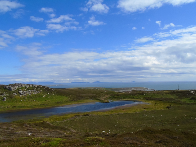 dsc02310.jpg?w=640&h=480