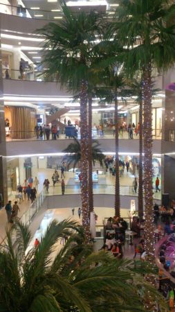 dsc_0031.jpg?resize=253%2C450