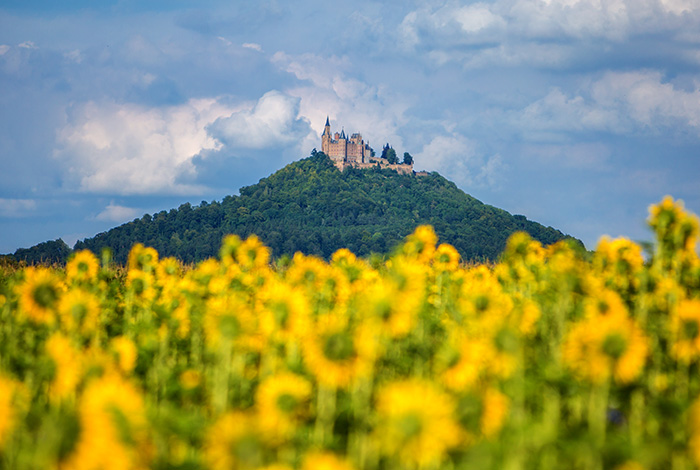 click?format=go&jsonp=vglnk_146091720477814&key=172579b97fa4d5e8c1a3c2918a03e499&libId=in4w96bx01012xfz000DA160g2eewjtx1k&loc=http%3A%2F%2Favidadoviajante.blogspot.com.br%2F&v=1&out=http%3A%2F%2Fwww.burg-hohenzollern.com%2Ftl_files%2Fbhz_design%2Fimg%2Fcontent%2Fstartseite_burg1.jpg&title=A%20vida%20do%20viajante%20%C3%A9%20caminhar%20pelo%20mundo...&txt=