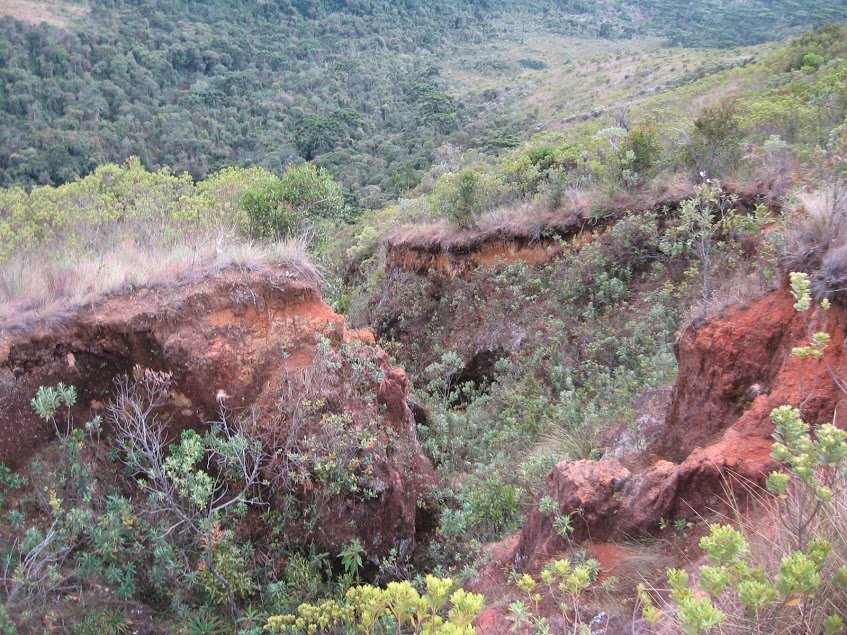 V4D7Ie1Y_nyaQJCDsPydAxje25L9ZT8vJyH6ppHt