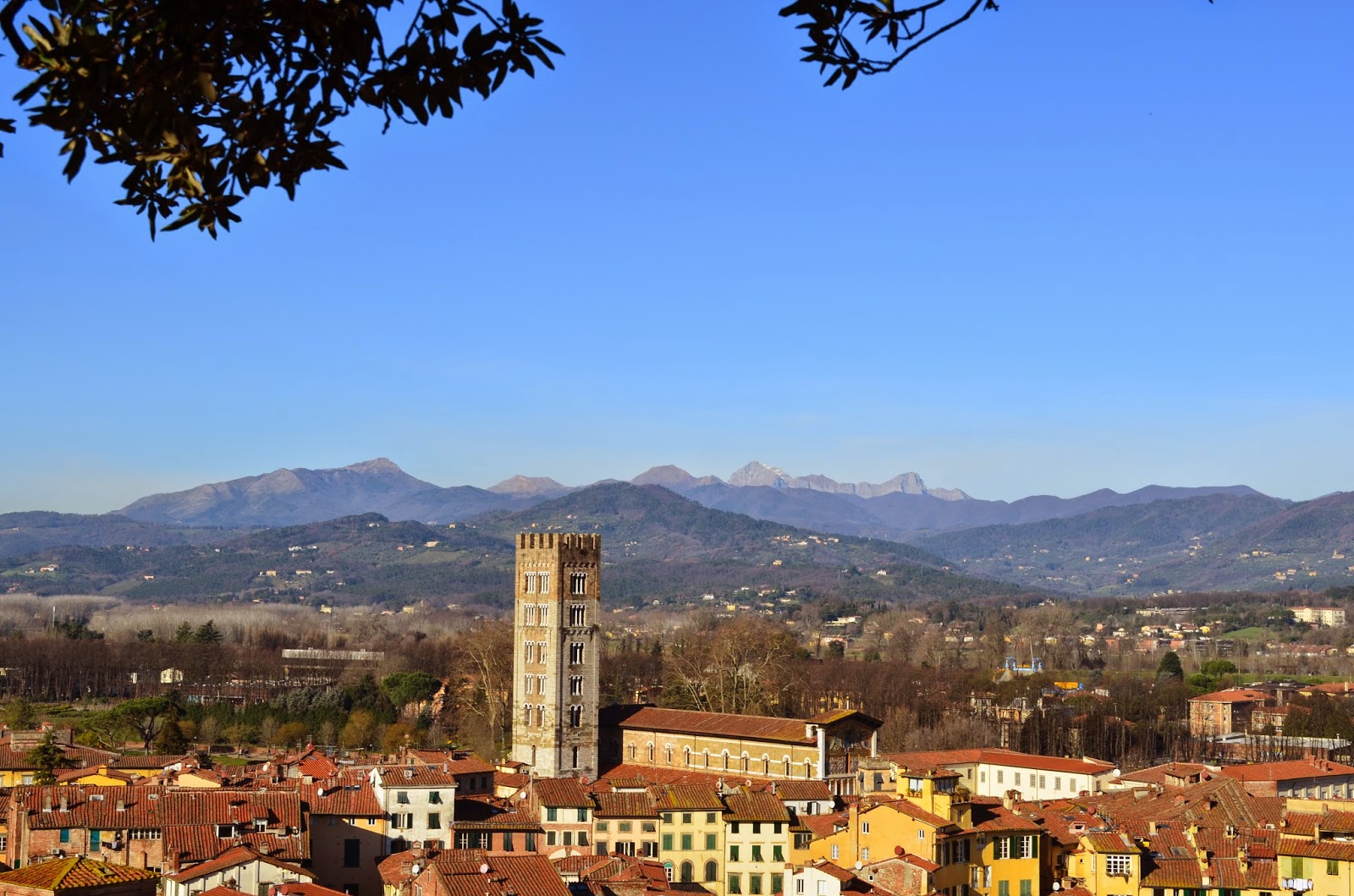 Eurotrip%2B2014%2B1280%2B-%2BLucca%2B-%2BVista%2BTorre%2BGuinigi.JPG