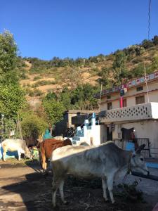 04.jpg?resize=225%2C300