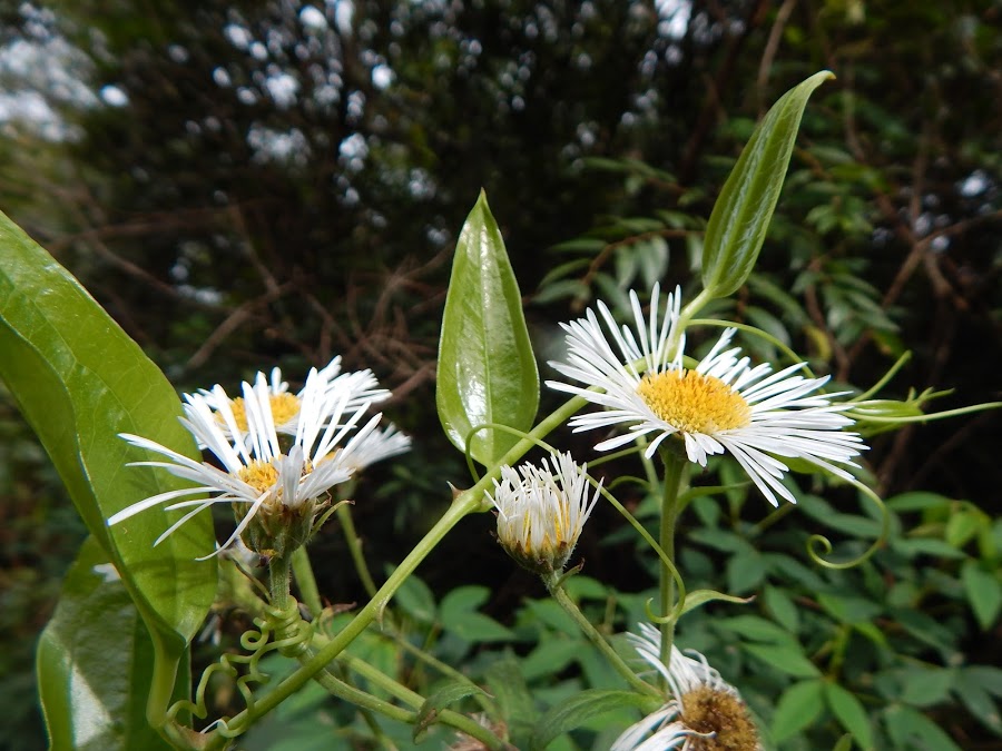 3D3y31t54Qllib_sYeFUIGUm6FvpWB4y8gc_RptJ