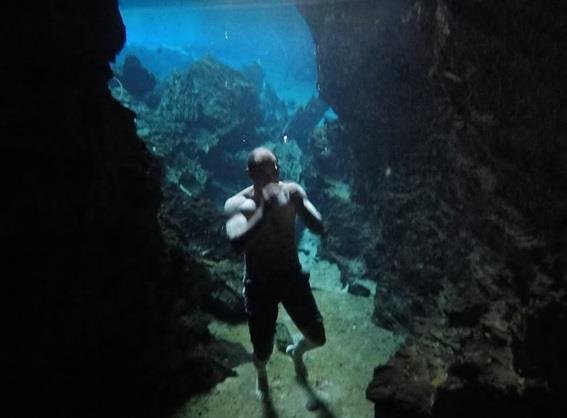 33763568_10204747009351726_1347628680125