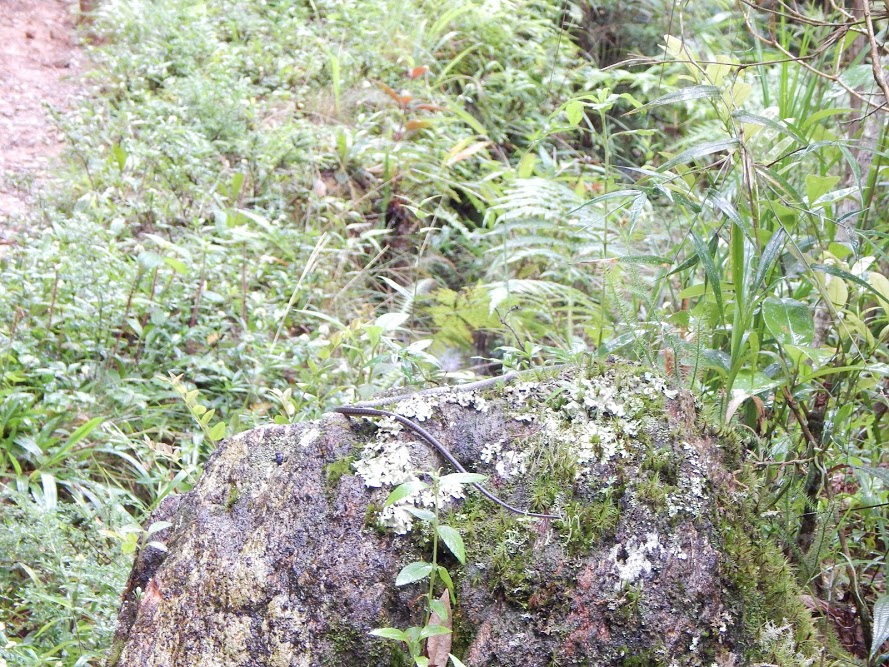 uroikMvnrGHDtwNYuwEu26e9laJ2o3ESQF5XP0nVbtN3FHduKzF_nh6bHepaaqHmtknHweBITtTA1OqnBUbEHMkYQvr2RZ48QrkNDdp-DeCU18YyNLS6l8wHOqzJjeulsP9RBqwBJZUTfBgyvnspW4HfoG0q_b0yMcXrM6wi-dcEWiz-V5cRHLydLziXRWx0hJIKmGKcGIPg7WhgYGWSsG8s4EaHrBGzWvXw_qrl_h-laFXipx1_NLuHOdU656ajpOG6Q0pIPZRtHDGZZL6A9TWhIzPl9cQYNwtukHxSksw0siqo_DZzI9USDziB62hpe-p0yR3AHUy9yHxcAiSFCODDlsaM9epHmCToYdu0LNMr6Xy8f106D7jwq-bvnAexU-eCJT6GdOGJlmlFkfJIIuaB22FoMInlvBVLoeY_TVLyMoRevTEownPPhtWGZnFgtW1kKZeP7TqTAC7oI49mDzHxiOKMXfKydpd-wVwlcXkpcmQqG8Q5JmJ4R2szulmUxAw3WecvY_eDffCIORO6_yqy_R8SPJ-d8We2T7UC_GGcPiiHmsoS2MOGKpdOszDEAKPQ=w890-h667-no