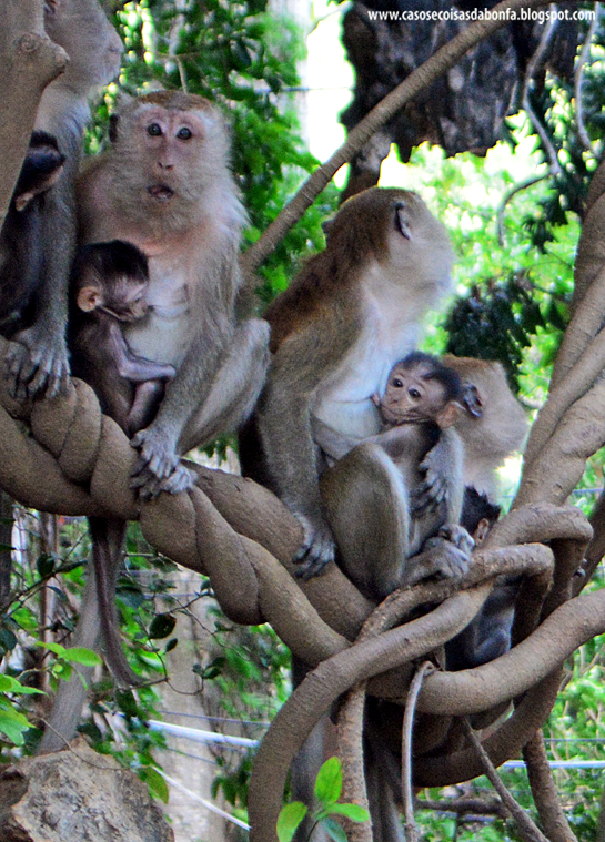 20160327-1162.png?imgmax=800