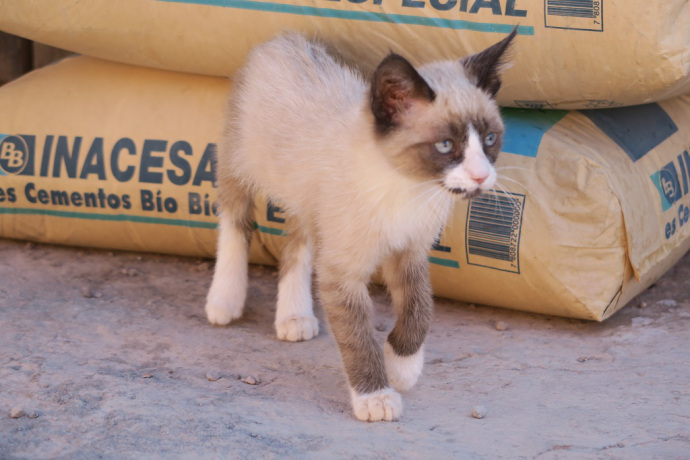 img_1792_zpstsydmcim