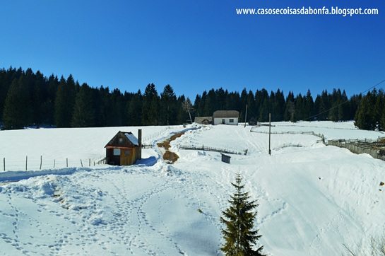 20150321-014%25255B2%25255D.png?imgmax=800