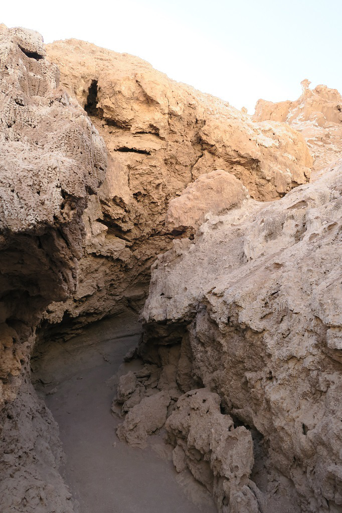 img_1465_zpsqvz3wjpj