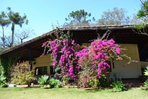 atibaia-pedra-grande-morangos-131.jpg?fi