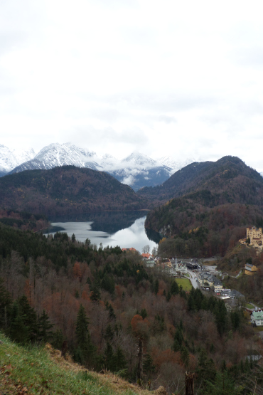 sam_1478.jpg?w=370&h=&crop=1