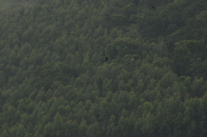 pedrabela03.jpg?w=676&h=448