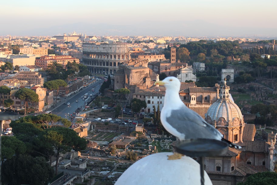 Roma%252520%2525281116%252529.JPG