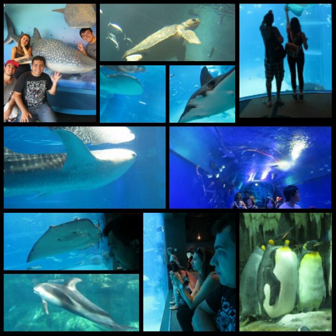 PhotoGrid_1440113115675