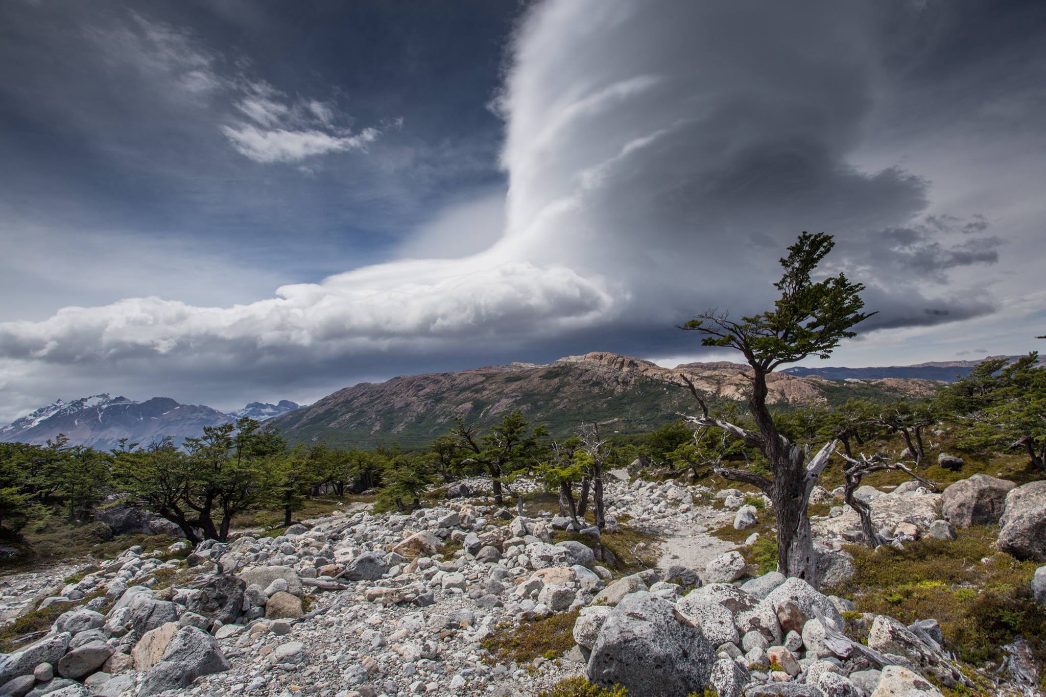 26173052_1580479672007027_51553981518448