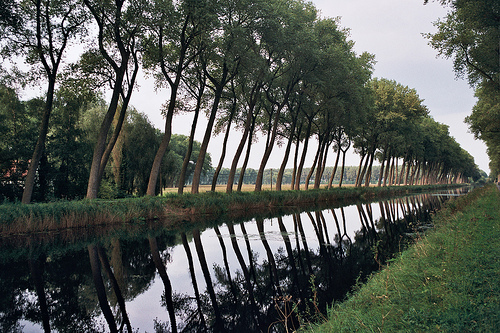 2944428458_2052b0fdca.jpg?v=0