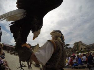 provins-franca-europa-14.jpg?fit=300%2C2