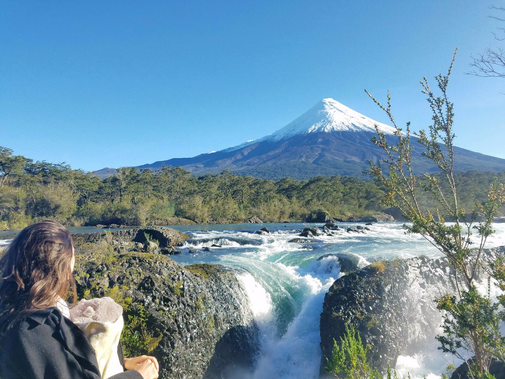 20170509_111451.jpg?w=1000