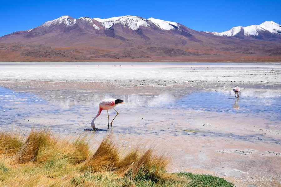 dcfca0ef34c2297cb7c6c94335db3a2e