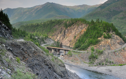 3741152717_e6c43d9c82.jpg?v=0