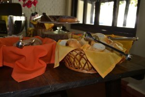 atibaia-pedra-grande-morangos-91.jpg?fit