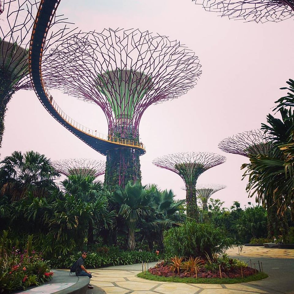 43_online?async&rand=0.2222520021301837