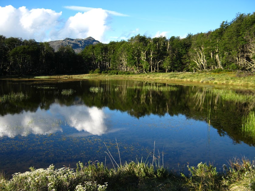 FpIhmIiOFWE01wDSq-jiQDiH7XeqAqOBGMeK7PMG5pqQiKk7D0DfpT3AivwIwgazpBKZA8UDww7OPN6dV3hCqGCUEbsuRadQbVgy5HxwFekElJ_xFf0EltT9DDcGBTIfQ4cp-dkh__QsiQwkalT81vusJmNw7JddMEAhHDrXc8GgIDcO0-16dV_GSD4Q6H4b9WGBOOup9FrldwGb_W0yfhcW0hSxOfbc5F6gKtXRjEvczzpAcr85plX6CcGlJb9nQiMB3pJx_RGdBdU_VSBP02gSuGH6Yyv5BYVS9kqc7kWqI9_vToKUf4_9_SXpP5pgJpjlTVHkuhvidWU6J3OAlIRjp3eHP9-t8rwCTvjuuOhgStelNjELAZuCIs54YbtbtJASpWydPq29BgbU5B3rYRYwLzwqSZT0WYnHOHDdTfcBMGPzNBgX8kXHIN6nYGTPFRH1uaigsLkyRabYul17dy9imVy3nTulO4zVCv09o42nKNEkHHvXz8FyxPQm9Dqmt0rxhg7AQN6LIsaJ5TRE_IpT4SOlzqvCE2jG3BsiINeB9FWW3SOh0-Hp4-d2VV-WqPKMqJKznBuFuSk7ACqhkawvbAm_RdQbr-73AuEz=w839-h629-no