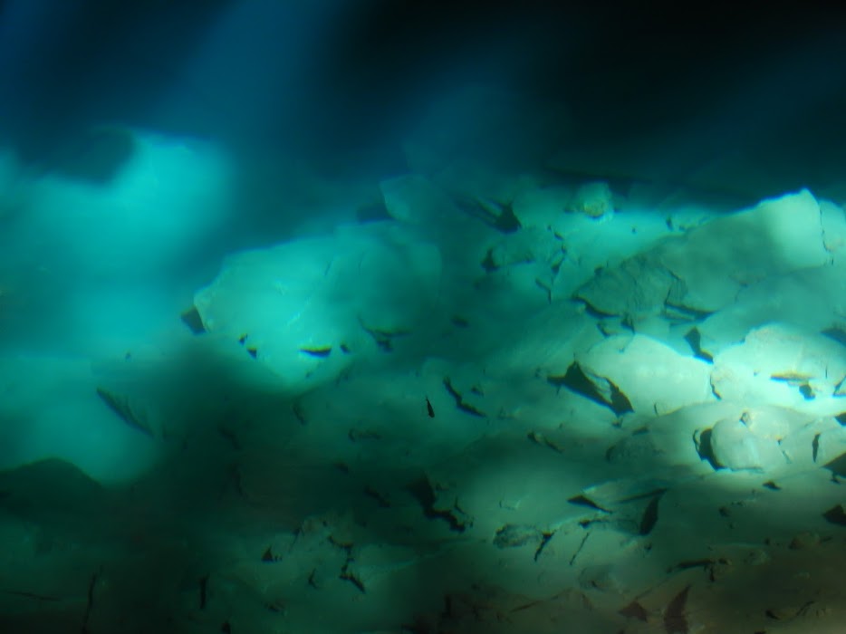 6iXYUineD5-G-vLXoU7elDQ5gFEMFKstGmrhjxIu