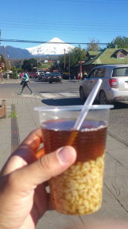 DSC_0052.jpg?resize=253%2C450