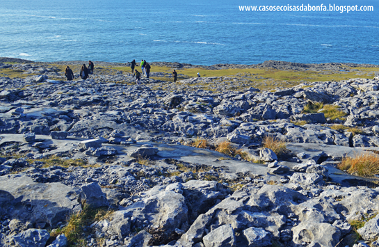 DSC_0812%25255B3%25255D.png?imgmax=800